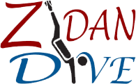 zidandive